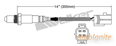 OXYGEN SENSOR | EGO-629-AUTOIGNITE-Autoignite NZ