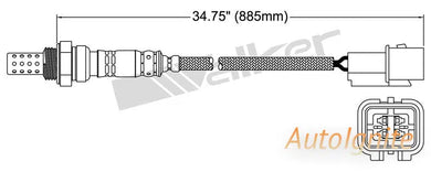 OXYGEN SENSOR | EGO-633-AUTOIGNITE-Autoignite NZ