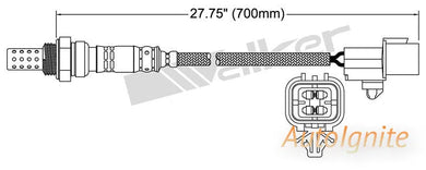 OXYGEN SENSOR | EGO-637-AUTOIGNITE-Autoignite NZ