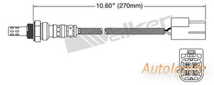 OXYGEN SENSOR | EGO-640-AUTOIGNITE-Autoignite NZ
