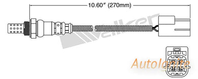 OXYGEN SENSOR | EGO-641-AUTOIGNITE-Autoignite NZ