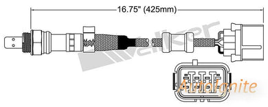 OXYGEN SENSOR | EGO-642-AUTOIGNITE-Autoignite NZ