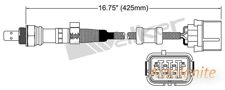 OXYGEN SENSOR | EGO-642-AUTOIGNITE-Autoignite NZ