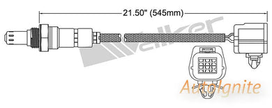 OXYGEN SENSOR | EGO-646-AUTOIGNITE-Autoignite NZ