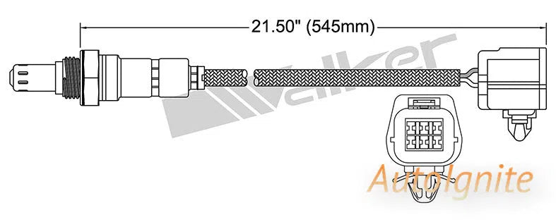 OXYGEN SENSOR | EGO-646-AUTOIGNITE-Autoignite NZ
