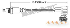 OXYGEN SENSOR | EGO-648