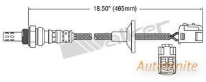 OXYGEN SENSOR | EGO-651
