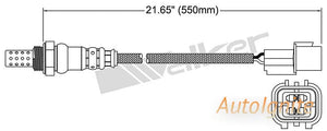 OXYGEN SENSOR | EGO-655-AUTOIGNITE-Autoignite NZ
