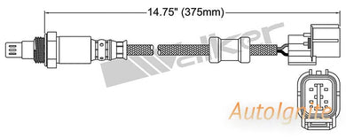 OXYGEN SENSOR | EGO-656-AUTOIGNITE-Autoignite NZ