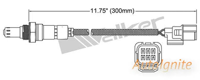 OXYGEN SENSOR | EGO-657-AUTOIGNITE-Autoignite NZ