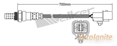 OXYGEN SENSOR | EGO-659-AUTOIGNITE-Autoignite NZ