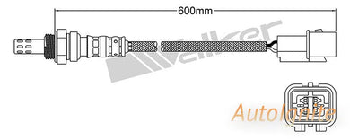 OXYGEN SENSOR | EGO-665-AUTOIGNITE-Autoignite NZ