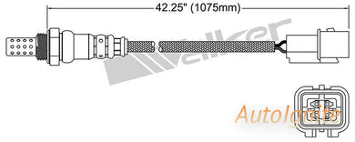 OXYGEN SENSOR | EGO-668-AUTOIGNITE-Autoignite NZ