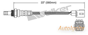 OXYGEN SENSOR | EGO-674-AUTOIGNITE-Autoignite NZ