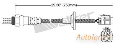 OXYGEN SENSOR | EGO-675-AUTOIGNITE-Autoignite NZ