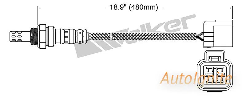 OXYGEN SENSOR | EGO-683-AUTOIGNITE-Autoignite NZ
