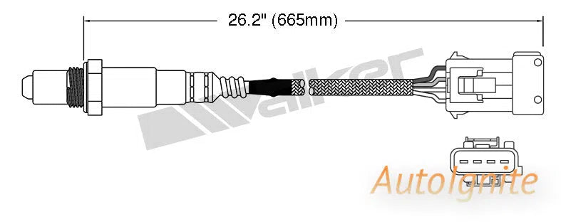 OXYGEN SENSOR | EGO-686-AUTOIGNITE-Autoignite NZ