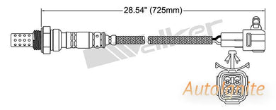 OXYGEN SENSOR | EGO-694-AUTOIGNITE-Autoignite NZ