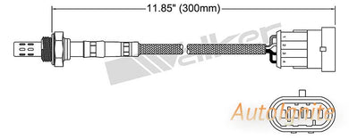 OXYGEN SENSOR | EGO-700-AUTOIGNITE-Autoignite NZ