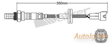 OXYGEN SENSOR | EGO-703-AUTOIGNITE-Autoignite NZ