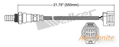 OXYGEN SENSOR | EGO-709-AUTOIGNITE-Autoignite NZ