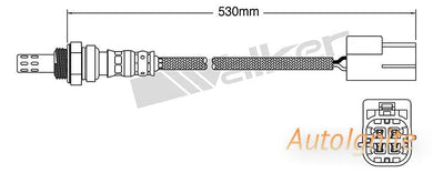 OXYGEN SENSOR | EGO-719-AUTOIGNITE-Autoignite NZ