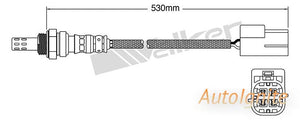 OXYGEN SENSOR | EGO-719-AUTOIGNITE-Autoignite NZ