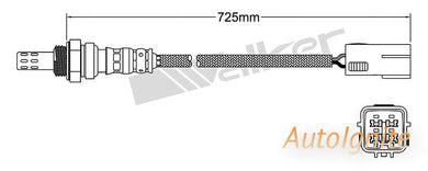 OXYGEN SENSOR | EGO-720-AUTOIGNITE-Autoignite NZ