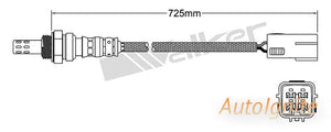 OXYGEN SENSOR | EGO-720-AUTOIGNITE-Autoignite NZ