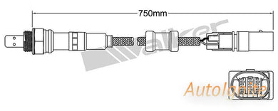 OXYGEN SENSOR | EGO-727-AUTOIGNITE-Autoignite NZ