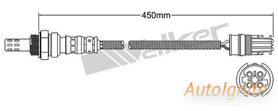 OXYGEN SENSOR | EGO-730-AUTOIGNITE-Autoignite NZ