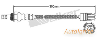 OXYGEN SENSOR | EGO-731-AUTOIGNITE-Autoignite NZ