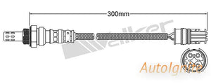 OXYGEN SENSOR | EGO-731-AUTOIGNITE-Autoignite NZ
