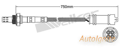 OXYGEN SENSOR | EGO-732-AUTOIGNITE-Autoignite NZ