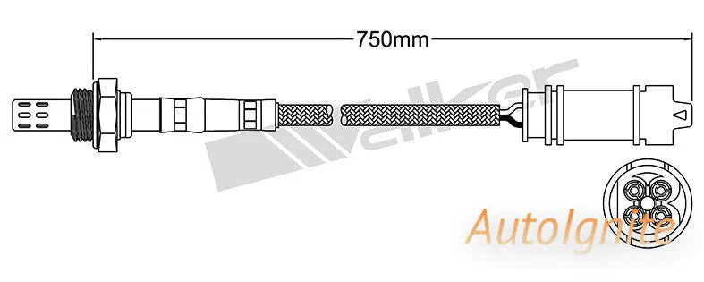 OXYGEN SENSOR | EGO-732-AUTOIGNITE-Autoignite NZ