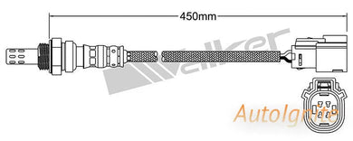 OXYGEN SENSOR | EGO-746-AUTOIGNITE-Autoignite NZ
