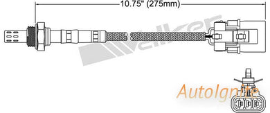 OXYGEN SENSOR | EGO-748-AUTOIGNITE-Autoignite NZ