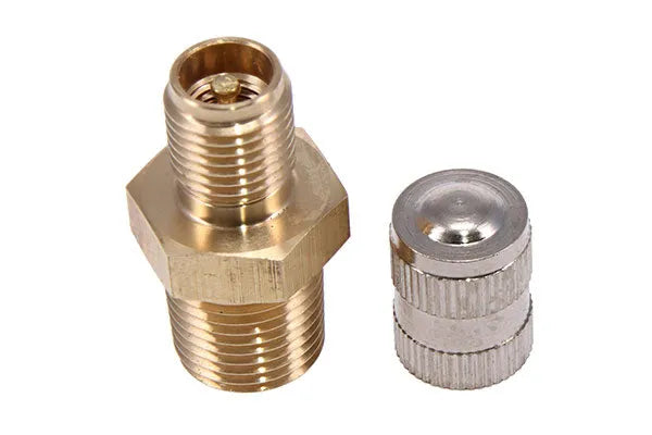 RACEWORKS 1/8IN NPT SCHRADER VALVE WITH DUST CAP | RWF-605-02-NZRACEWORKS-Autoignite NZ
