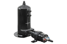 Load image into Gallery viewer, RACEWORKS 2.5L SURGE TANK AN-8 SINGLE/DUAL OUTLET | ALY-158BK
