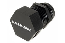 Load image into Gallery viewer, RACEWORKS AN BOLT IN BULKHEAD BREATHERS | RWF-777-10BK
