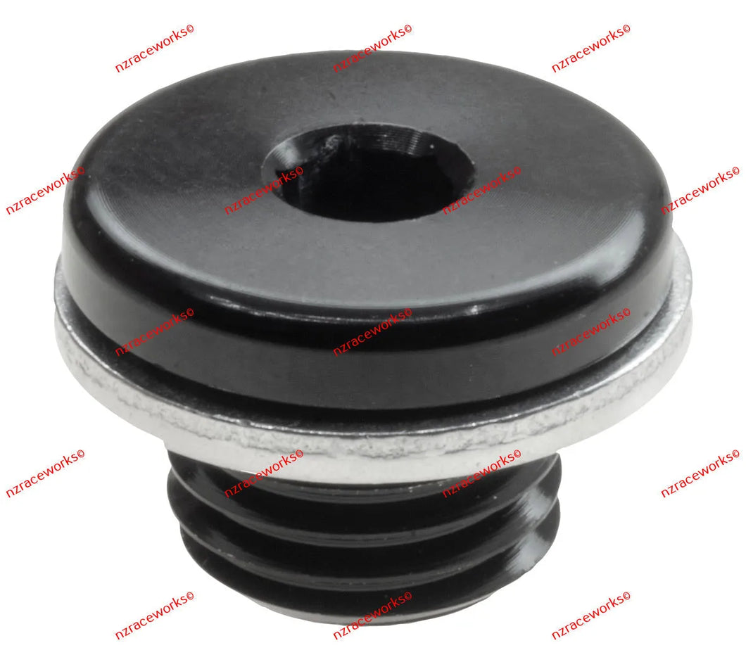 RACEWORKS AN IN HEX O-RING PLUG | RWF-814-M10-2BK-NZRACEWORKS-Autoignite NZ