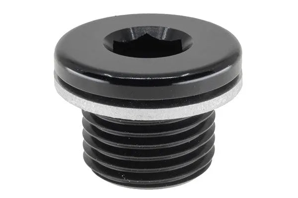 RACEWORKS AN IN HEX O-RING PLUG | RWF-814-M14-1BK-NZRACEWORKS-Autoignite NZ