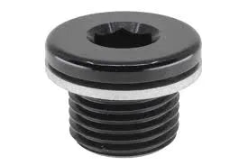 RACEWORKS AN IN HEX O-RING PLUG | RWF-814-M18-1BK-NZRACEWORKS-Autoignite NZ
