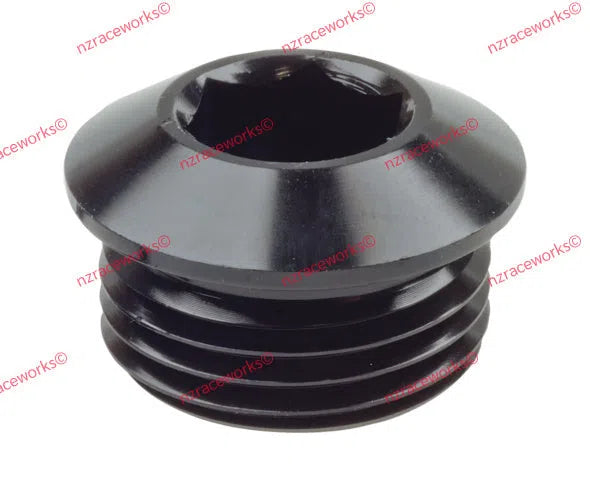 RACEWORKS AN in HEX O-RING PLUGS-NZRACEWORKS-Autoignite NZ