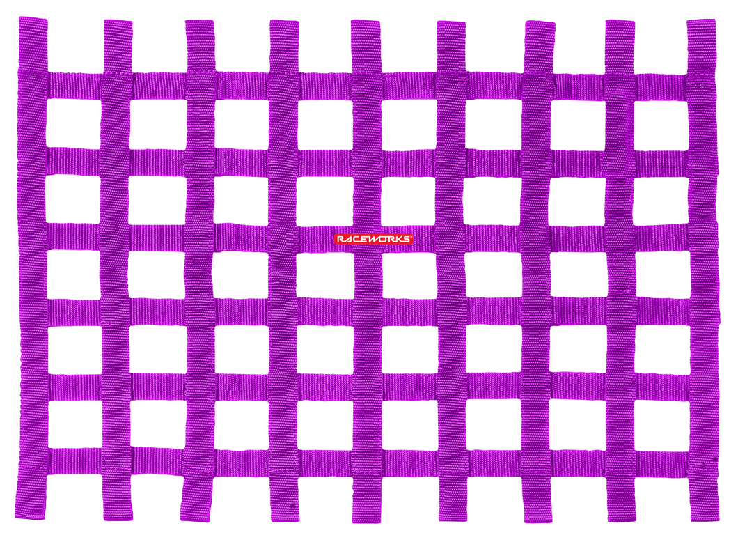 RACEWORKS BLACK LOOP STYLE WINDOW NETS-NZRACEWORKS-Autoignite NZ