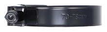 Load image into Gallery viewer, RACEWORKS BLACK T-BOLT CLAMPS-NZRACEWORKS-Autoignite NZ
