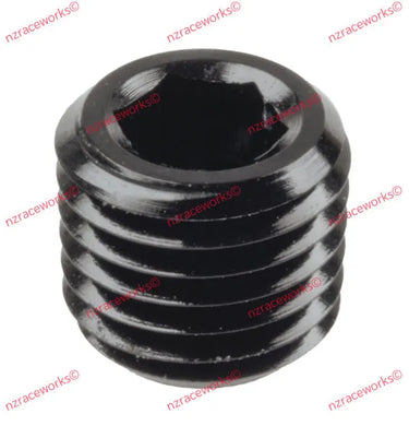 RACEWORKS in HEX NPT PLUGS-NZRACEWORKS-Autoignite NZ