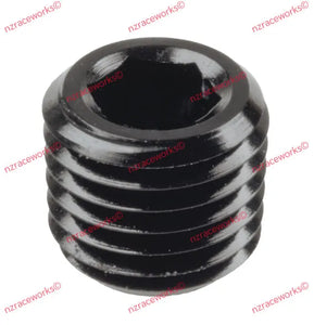 RACEWORKS in HEX NPT PLUGS-NZRACEWORKS-Autoignite NZ