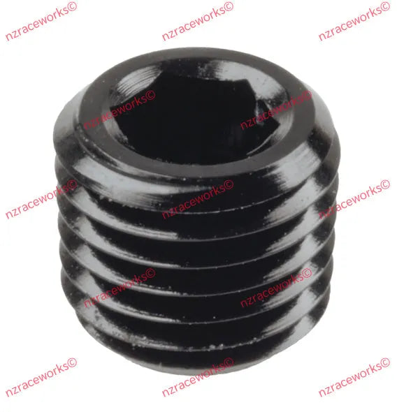 RACEWORKS in HEX NPT PLUGS-NZRACEWORKS-Autoignite NZ