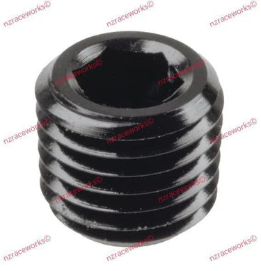 RACEWORKS NPT PLUG 1/16'' | RWF-932-01BK-NZRACEWORKS-Autoignite NZ